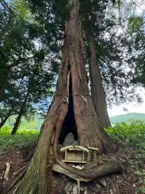 山家神社(長野県)