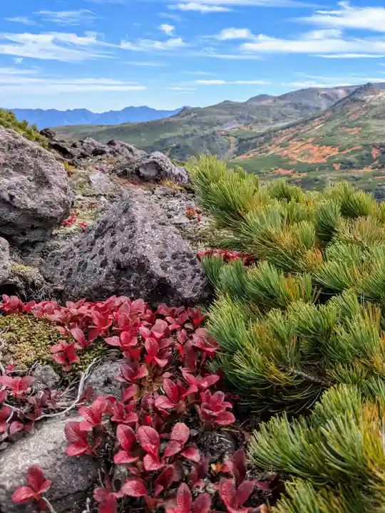 祠(大雪神社奥の院)(北海道)