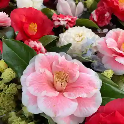 豊景神社の手水舎