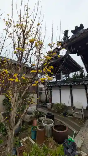 順應寺(滋賀県)