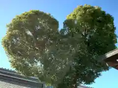 南宮宇佐八幡神社（脇浜神社）(兵庫県)