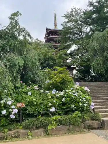 本土寺(千葉県)