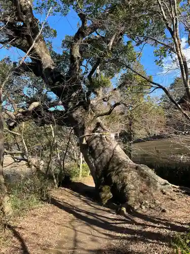 薦神社(大分県)