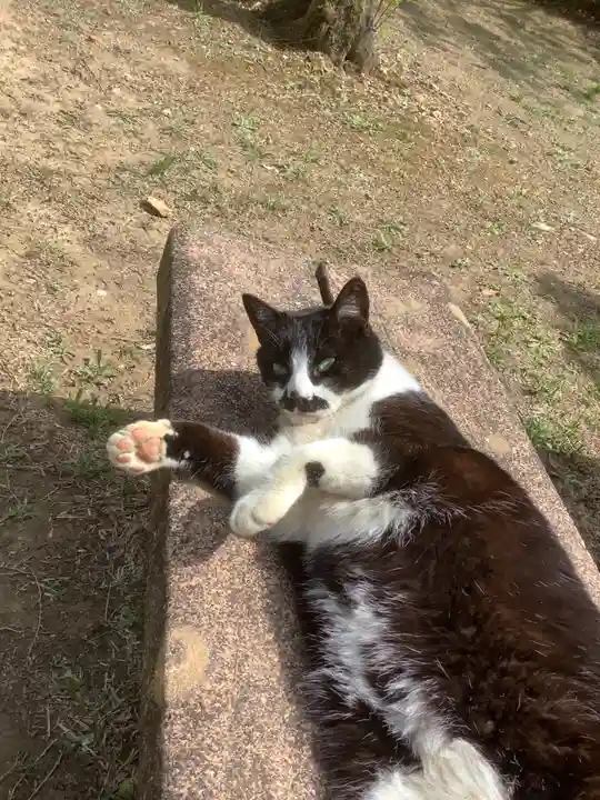玉野御嶽神社の動物