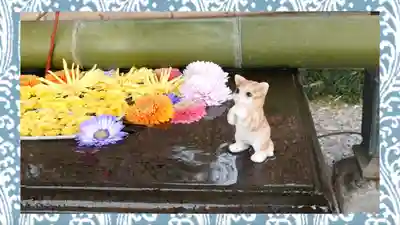 前玉神社(埼玉県)