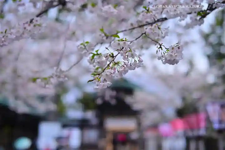 三嶋大社(静岡県)