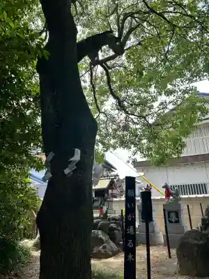 玉三稲荷神社(三重県)