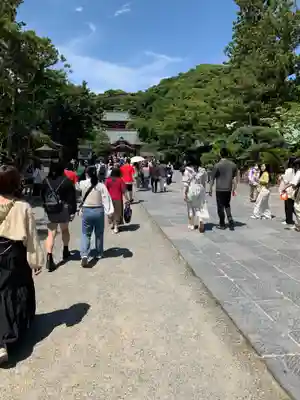 鶴岡八幡宮(神奈川県)