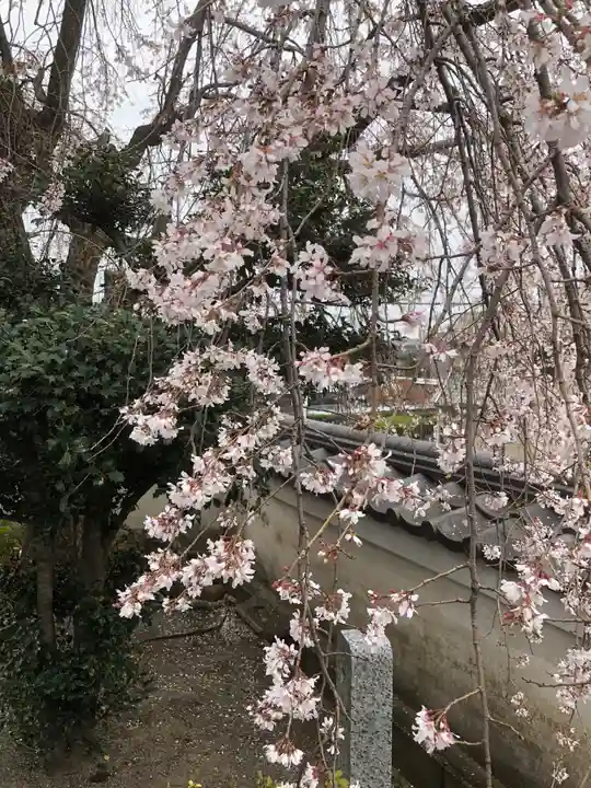 瑞泉寺の御朱印