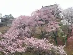 眞田神社の自然