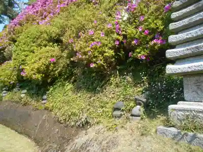 仏行寺（佛行寺）のその他建物