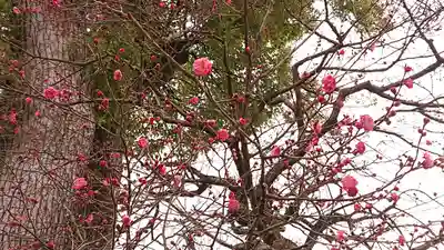 北野天満宮(京都府)