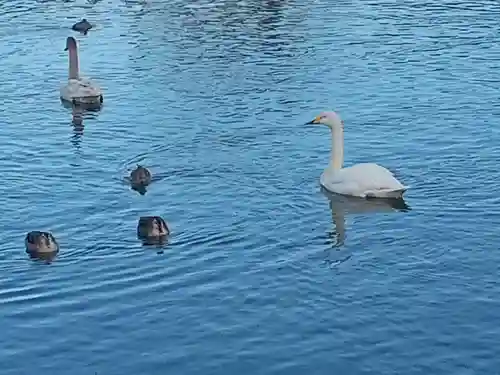 静神社(栃木県)