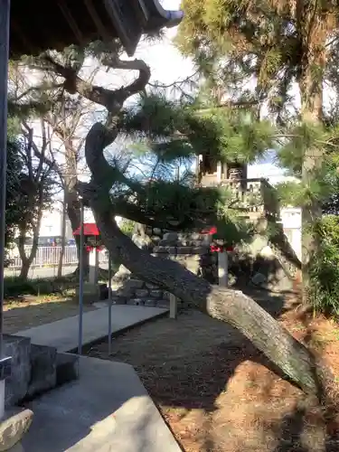 日吉神社の庭園