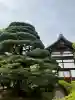 慈照寺(慈照禅寺・銀閣寺)の{uncategorized: "未分類", other: "その他", undefined: "問題あり", building: "その他建物", grave: "お墓", sacred_gate: "鳥居", guardian: "狛犬", statue: "像", buddha: "仏像", history: "歴史", nature: "自然", garden: "庭園", animal: "動物", pagoda: "塔", temizu: "手水舎", mountain_gate: "山門・神門", sanctuary: "本殿・本堂", subordinate: "末社・摂社", art: "芸術", scenery: "景色", jizo: "地蔵", ema: "絵馬", goshuin: "御朱印", omikuji: "おみくじ", items: "授与品その他", amulet: "お守り", goshuincho: "御朱印帳", eats: "食事", festival: "お祭り", votive_dance: "神楽", shichigosan: "七五三参", wedding: "結婚式", experience: "体験その他", initially: "初詣", around: "周辺", anti_infection: "感染症対策"}