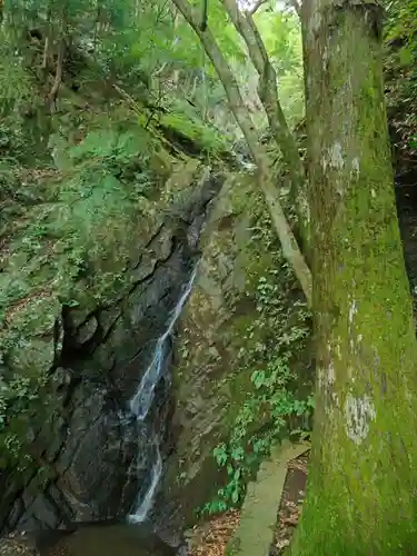 大山阿夫利神社本社(神奈川県)