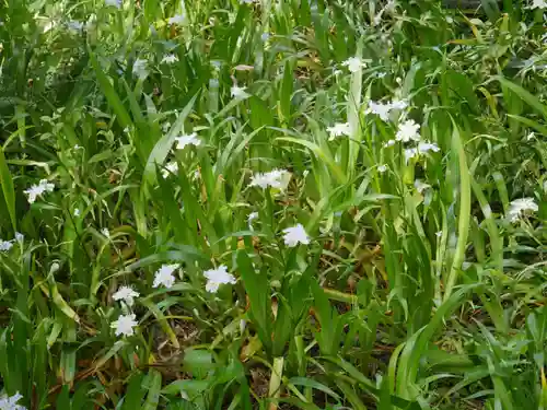 最勝寺教学院の自然
