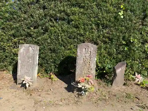 圓福寺(千葉県)