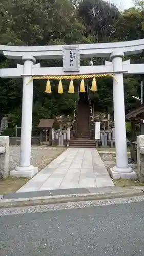 白旗神社（品濃白旗神社）の鳥居