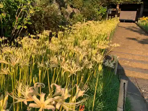 横浜　西方寺の自然