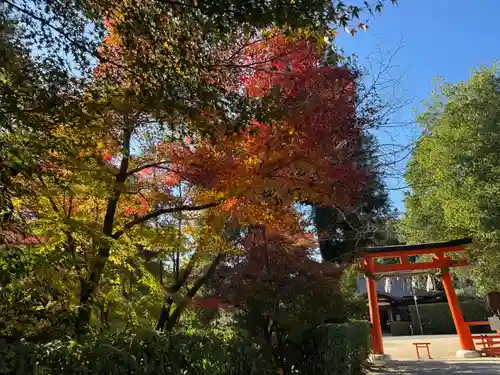 賀茂別雷神社（上賀茂神社）(京都府)