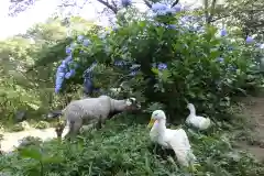 楽法寺（雨引観音）の動物