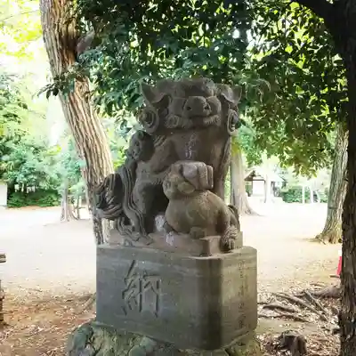 小金井神社の狛犬