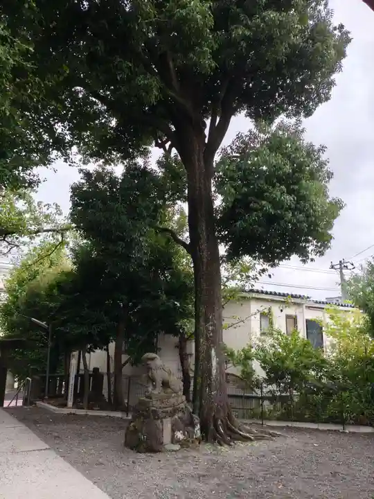 八坂神社(神奈川県)