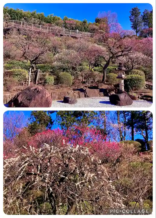 池上本門寺(東京都)