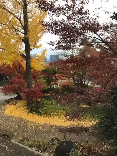 愛宕神社の自然