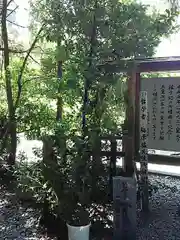 荒立神社の建物その他