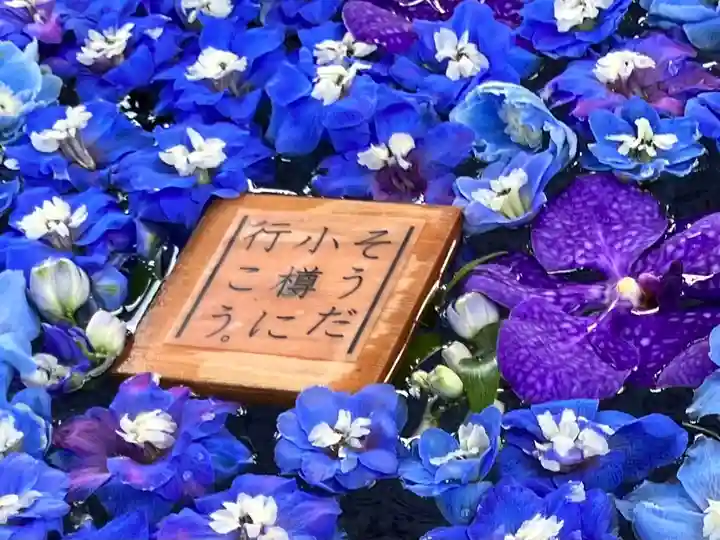 住吉神社の手水舎