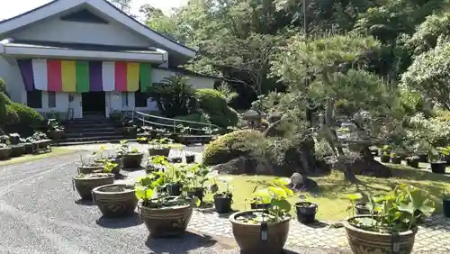 正蓮寺の庭園