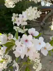 尾上神社の本殿