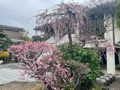 常泉寺(東京都)