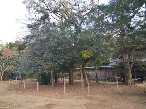 鎌数伊勢大神宮の自然