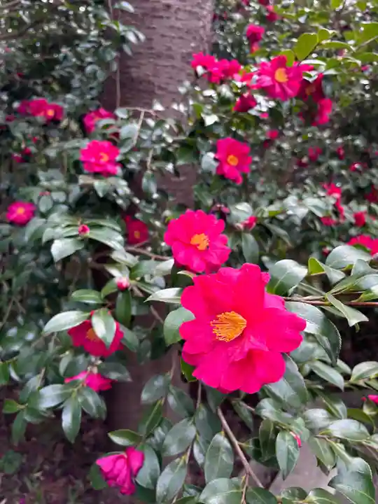 愛宕神社(宮城県)