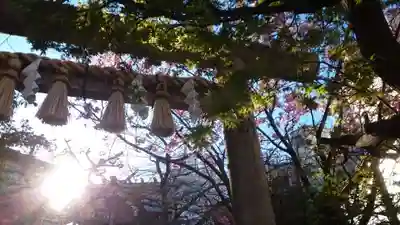 元三島神社(東京都)