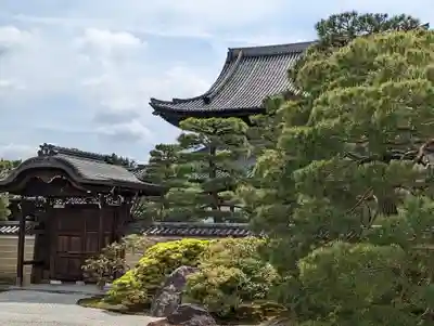 建仁寺（建仁禅寺）(京都府)