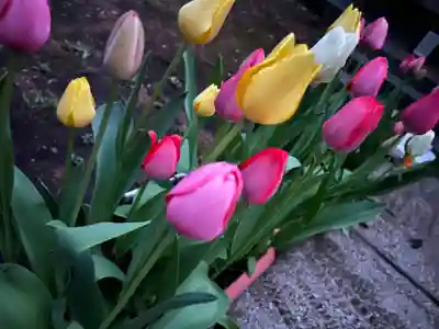 大宮温泉神社(栃木県)