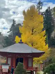 達谷西光寺(岩手県)