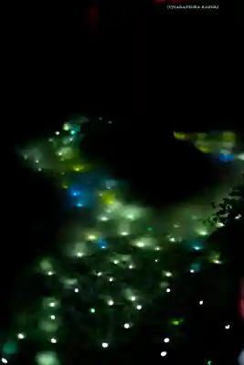 川越氷川神社(埼玉県)