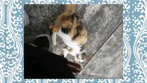 賀茂別雷神社(栃木県)