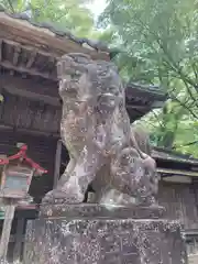白瀧神社の狛犬