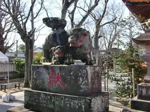 清瀧神社の狛犬