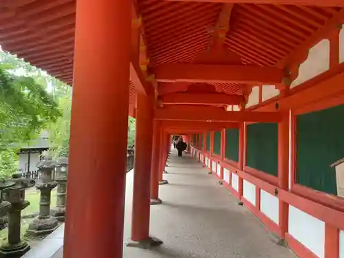 春日大社(奈良県)