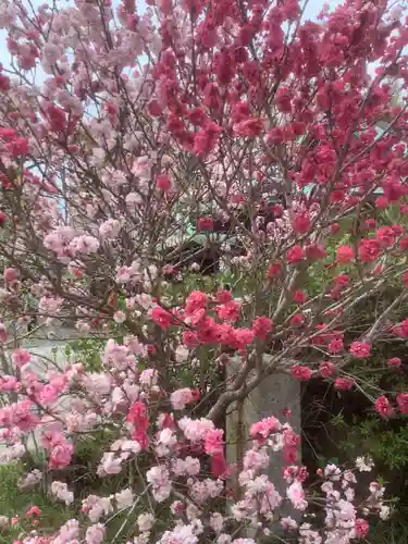 髙牟神社の自然
