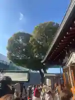 南宮宇佐八幡神社(脇浜神社)の{uncategorized: "未分類", other: "その他", undefined: "問題あり", building: "その他建物", grave: "お墓", sacred_gate: "鳥居", guardian: "狛犬", statue: "像", buddha: "仏像", history: "歴史", nature: "自然", garden: "庭園", animal: "動物", pagoda: "塔", temizu: "手水舎", mountain_gate: "山門・神門", sanctuary: "本殿・本堂", subordinate: "末社・摂社", art: "芸術", scenery: "景色", jizo: "地蔵", ema: "絵馬", goshuin: "御朱印", omikuji: "おみくじ", items: "授与品その他", amulet: "お守り", goshuincho: "御朱印帳", eats: "食事", festival: "お祭り", votive_dance: "神楽", shichigosan: "七五三参", wedding: "結婚式", experience: "体験その他", initially: "初詣", around: "周辺", anti_infection: "感染症対策"}