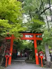 貴船神社の鳥居