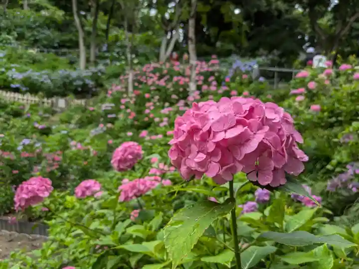 二本松寺(茨城県)